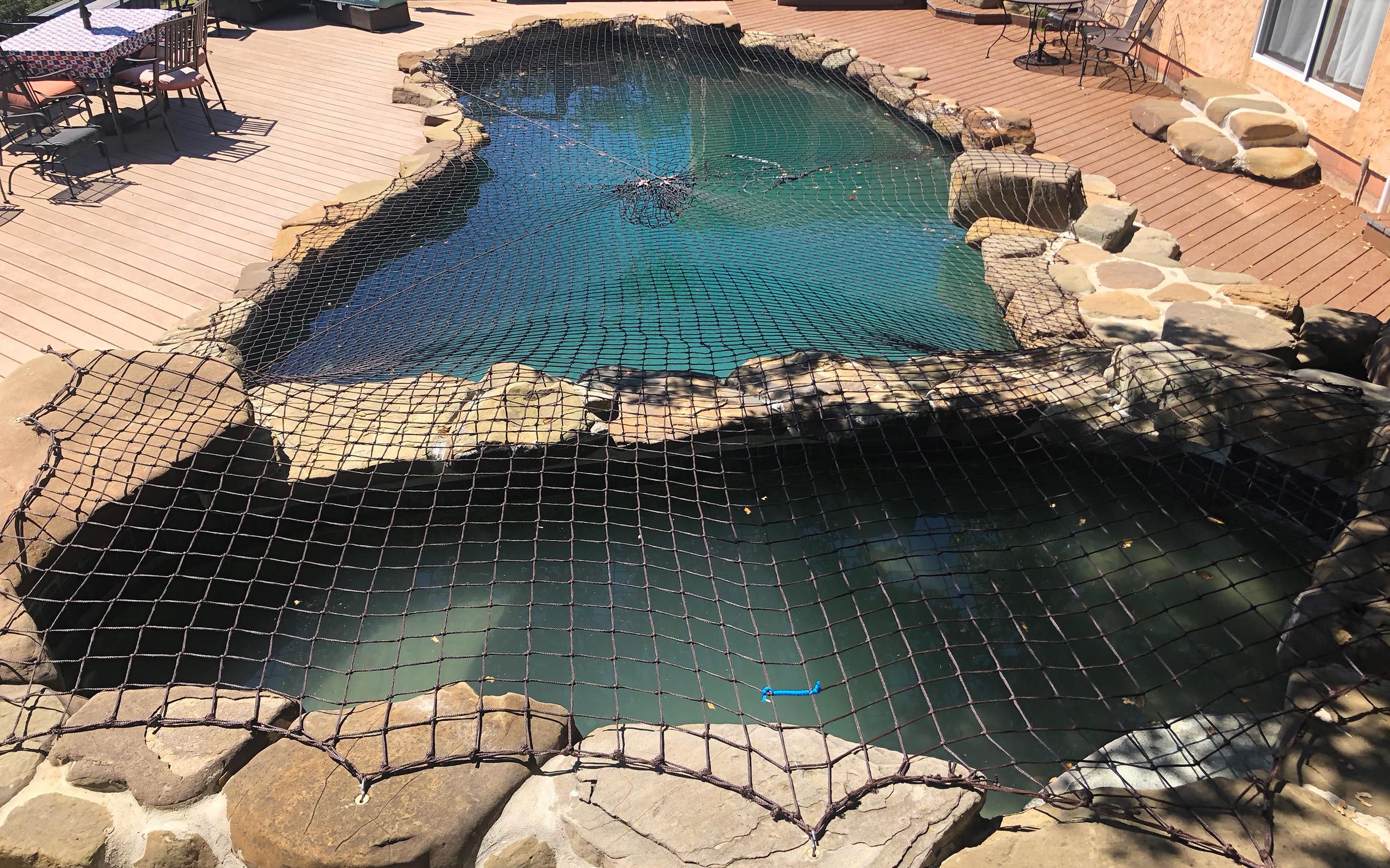 Always Safe Pool Pool Nets